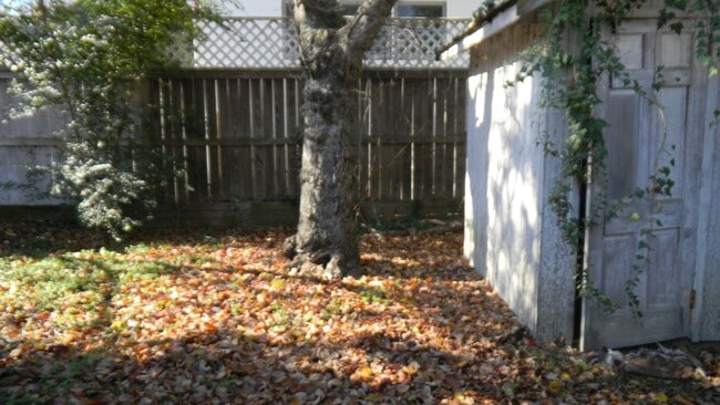 Building Photo - Charming Chapel Hill Cottage Near UNC with Spacious Backyard