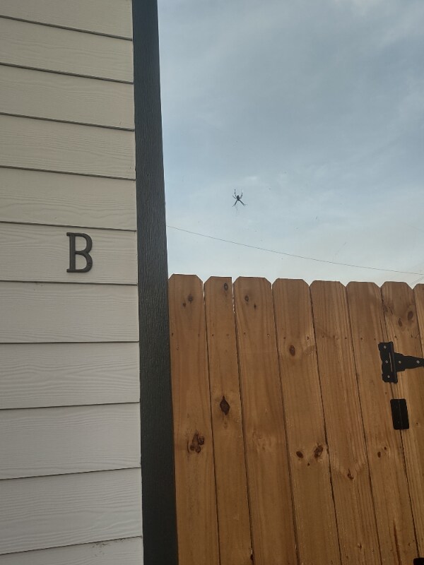 Building Photo - 5212 Ina St