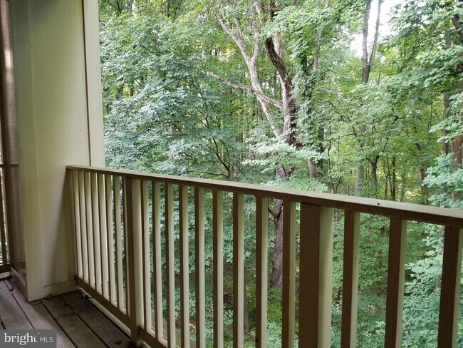 Building Photo - 109 Timberbrook Ln