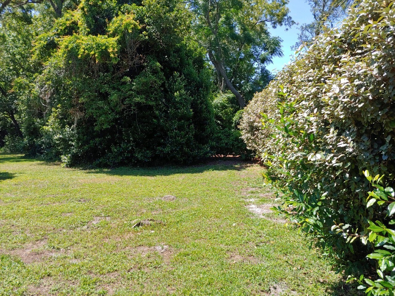 Building Photo - 63 Douglas St