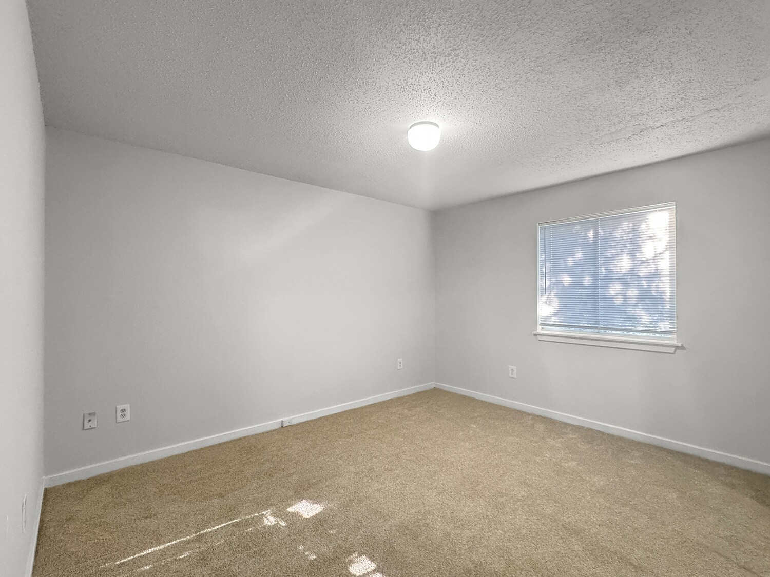 Bedroom 2 - 1203 Jamestown Rd