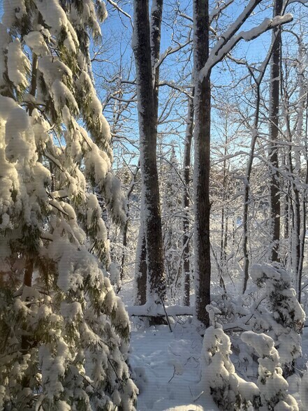 View off back deck - 4152 Satuit Ln