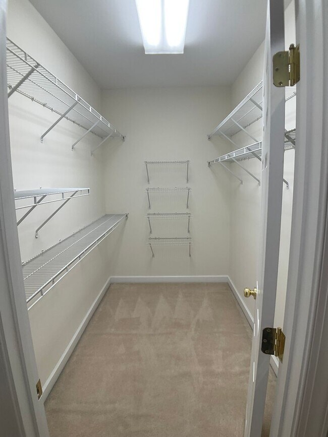 Building Photo - Gorgeous Condo in the heart of Chapel Hill