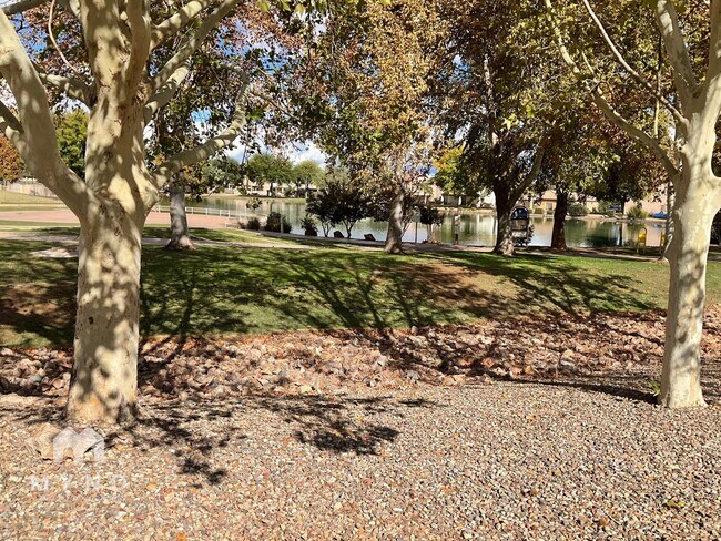 Building Photo - 801 Calle Tikal