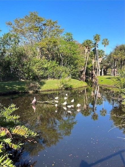 Building Photo - 5800 21st Ave. S