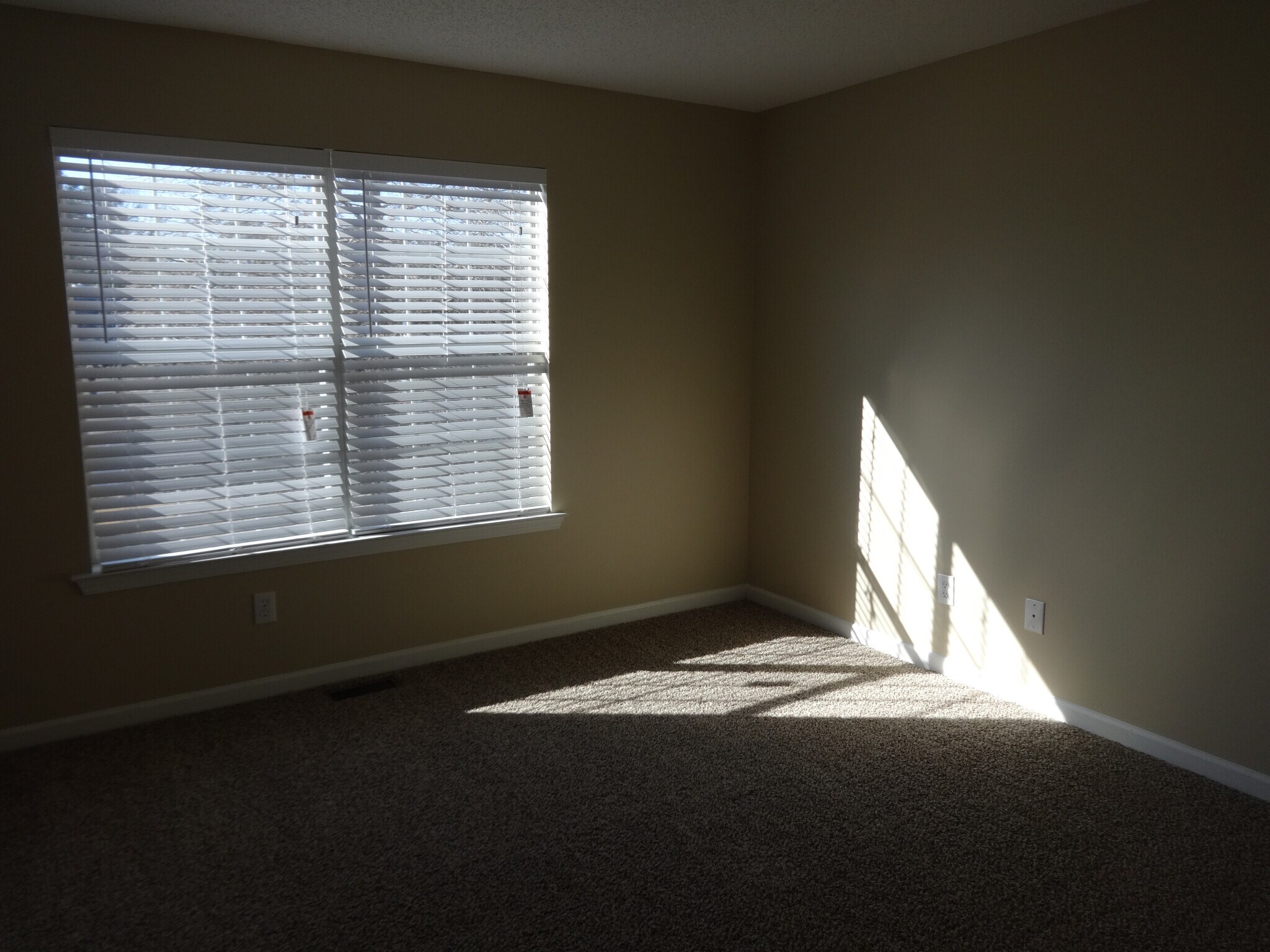 Building Photo - 6339 Milo Dr