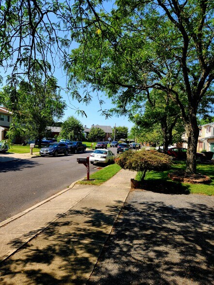 Parking in front of home - 1637 Ilona Dr