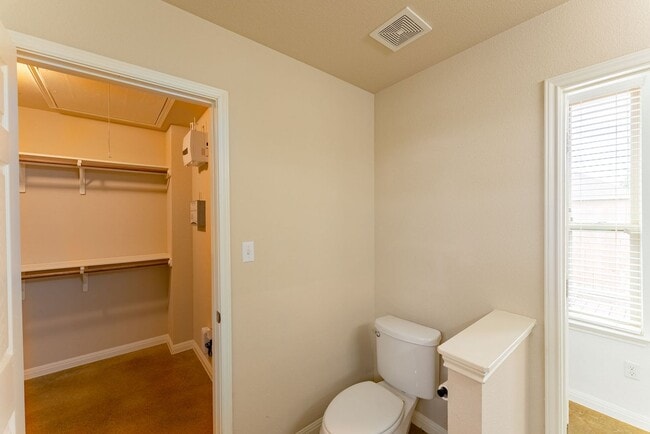 Building Photo - Stunning 3 bedroom/3 bathroom House in Austin!!!