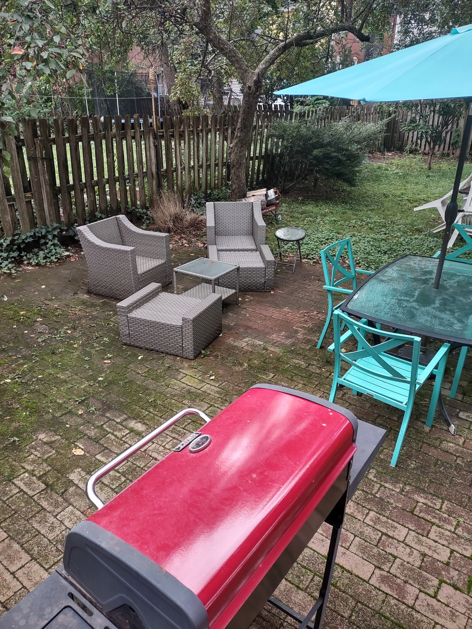 back yard - 363 Laurel St