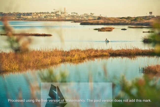 Building Photo - Gorgeous Huntington Beach Single Story Home!