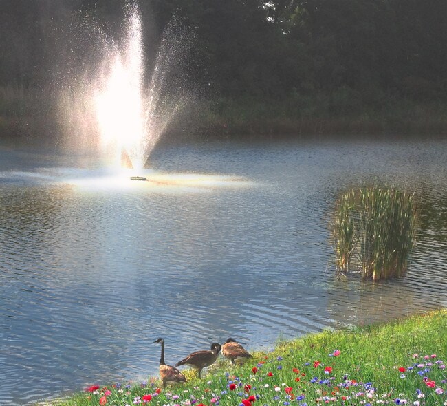 Etown Apartments 513 W Dixie Ave Elizabethtown KY 42701 Apartment