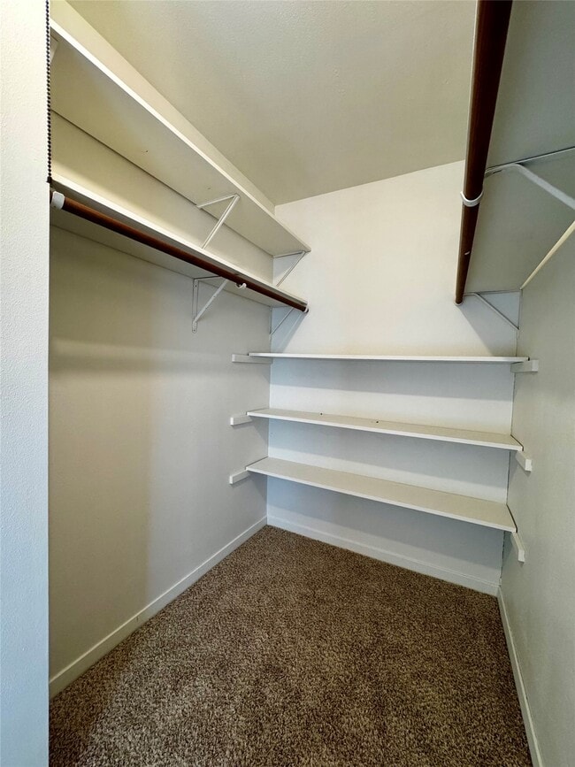 Building Photo - 24231 Shellbrook Dr