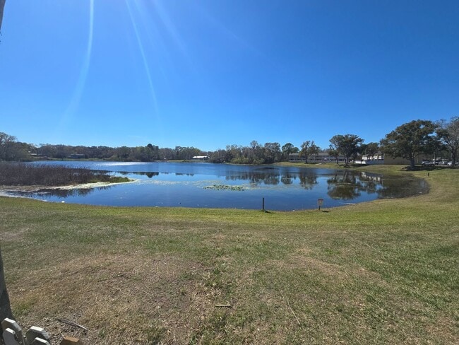 Building Photo - 2-Bedroom, 2-Bathroom Condo in Land O' Lakes