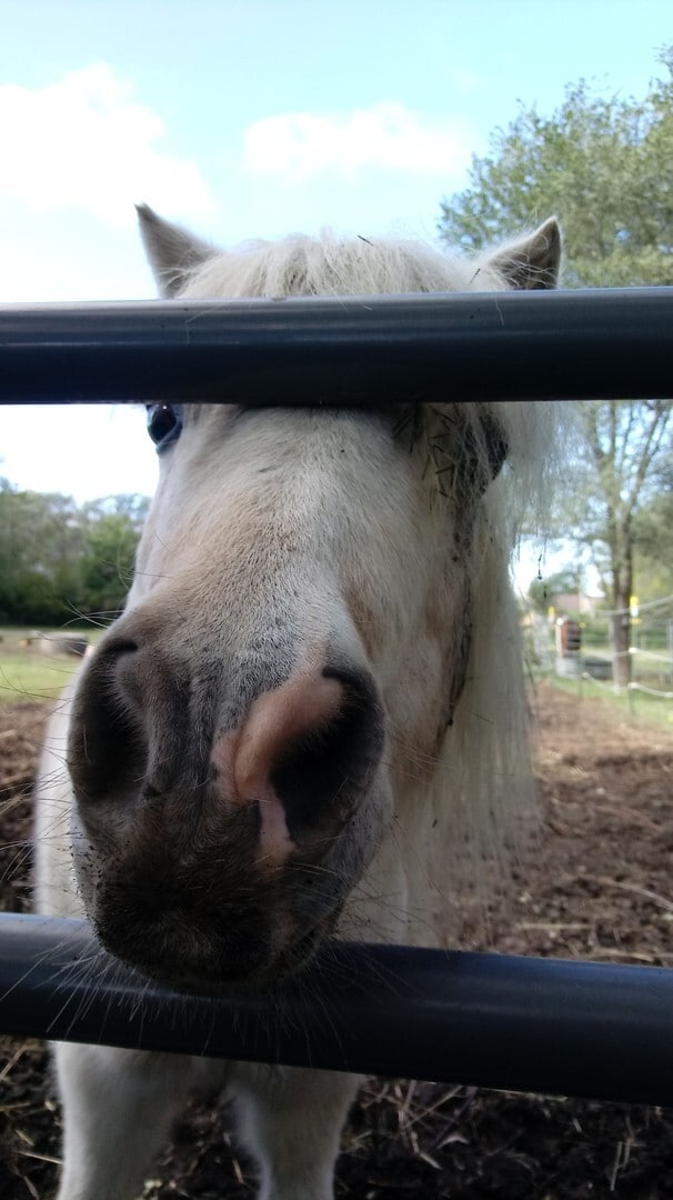 Building Photo - Amazing Country property!