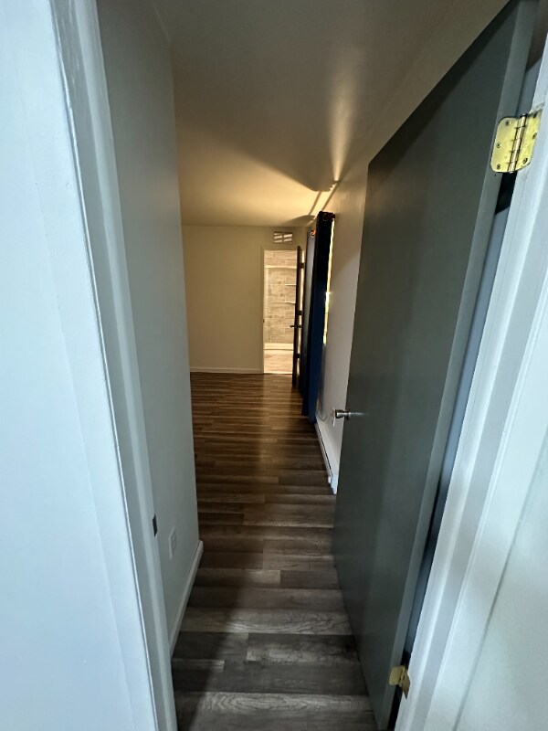 Building Photo - 411 McGuigan Pl