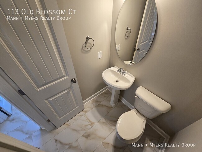 Building Photo - 113 Old Blossom Ct
