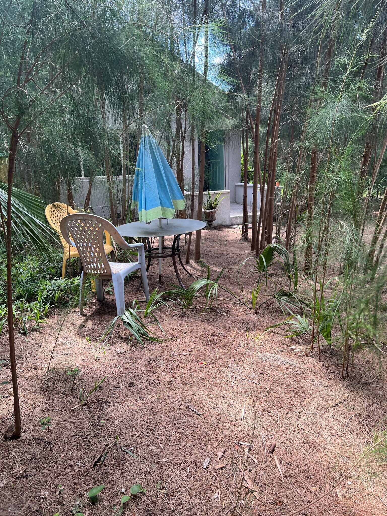 Building Photo - 1516 Carmel Ave