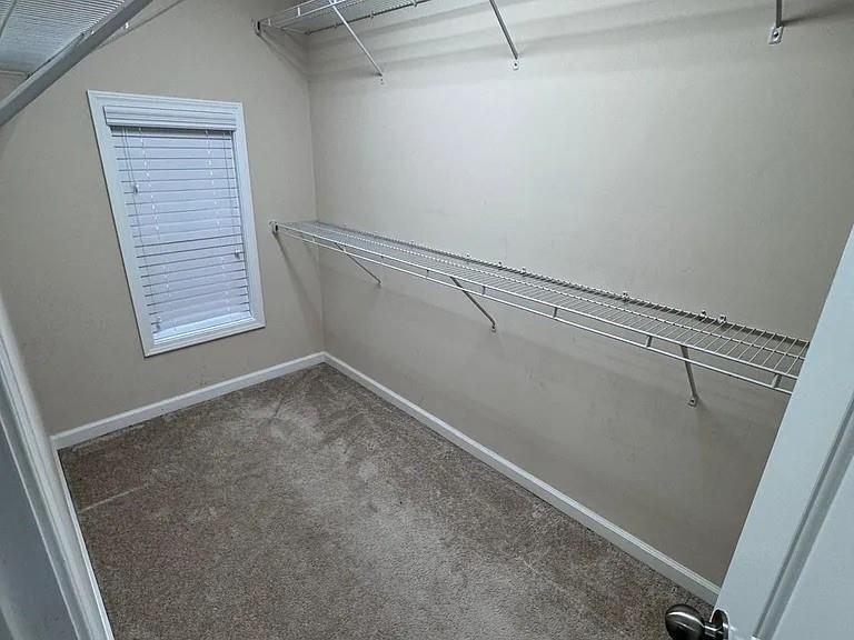 Building Photo - 1530 Winshire Cove