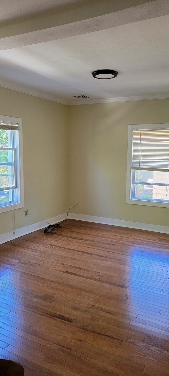 Livingroom - 292 Robinson St
