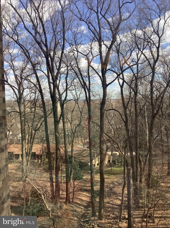 Building Photo - 5901 Mt Eagle Dr