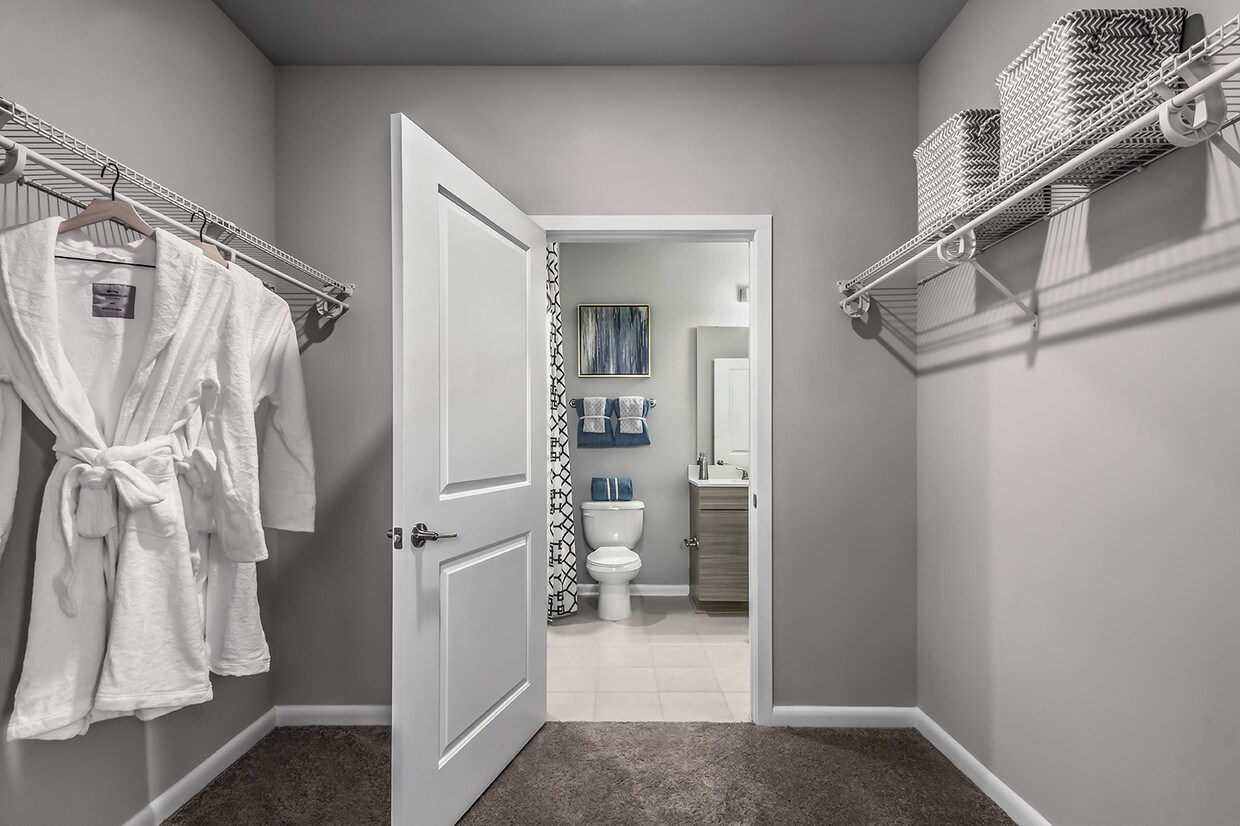 The Palmer Charlotte Nc Apartment Finder