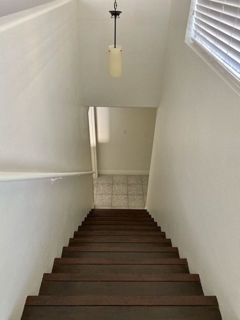 stairs looking down - 9901 Trailwood Dr