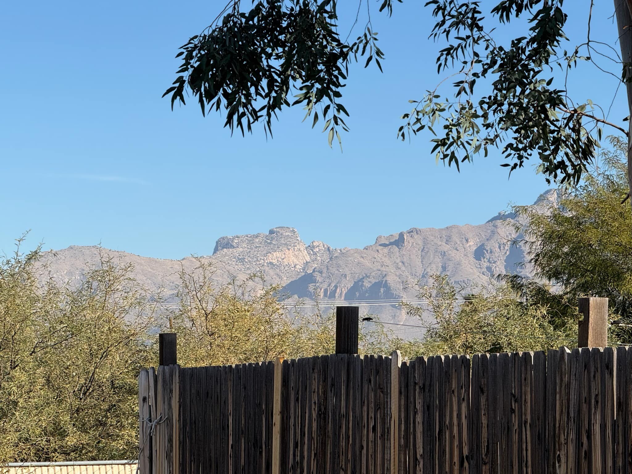 Building Photo - 2419 N Geronimo Ave