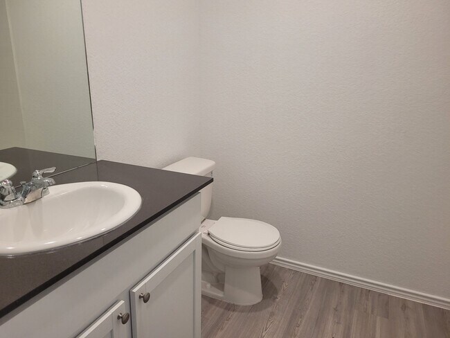 Building Photo - Brand New 4 Bedroom Texas A&M