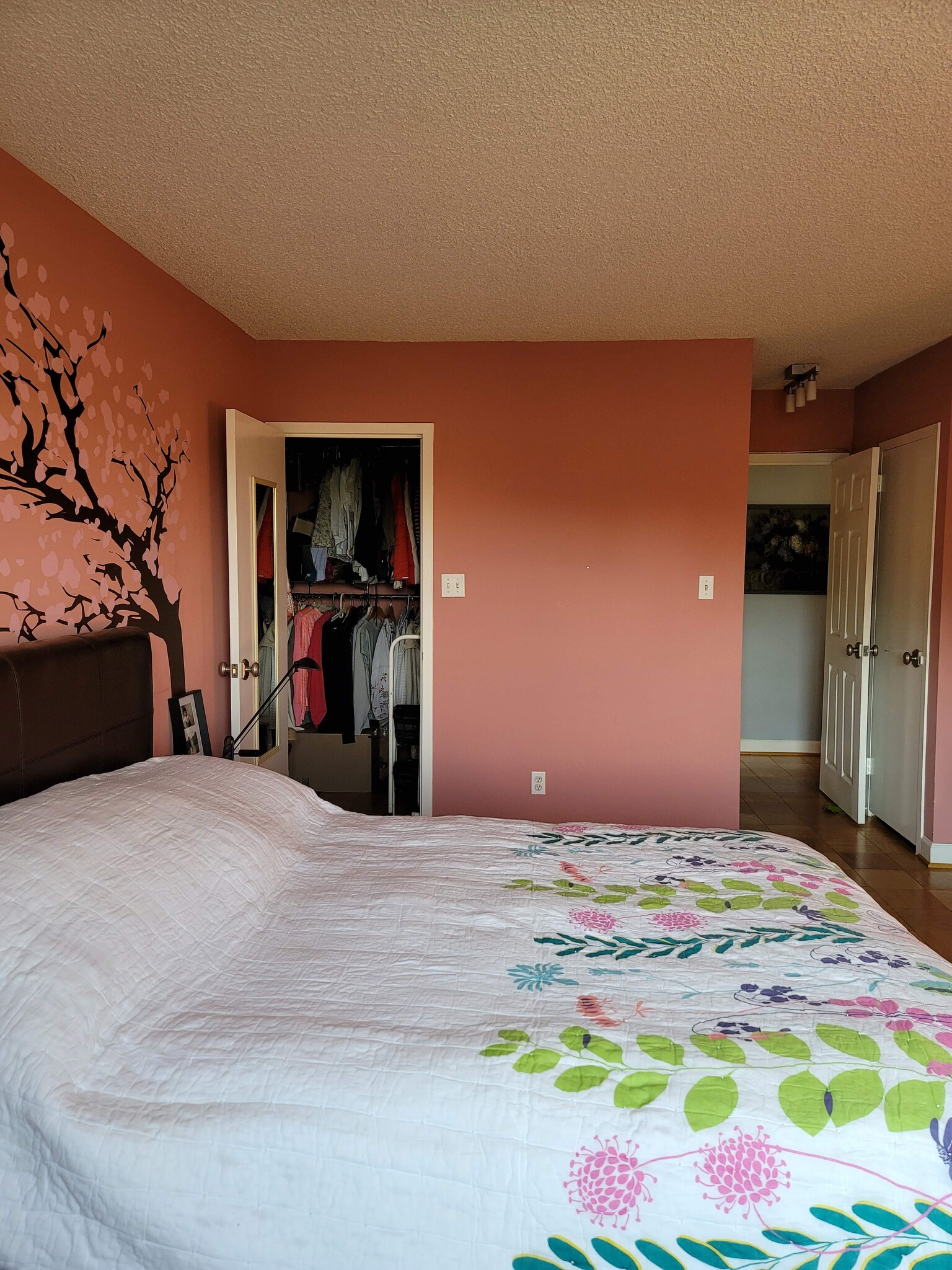 Master bedroom and walk-in closet - 5225 Pooks Hill Rd