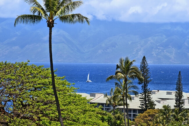 Building Photo - 50 Puu Anoano St