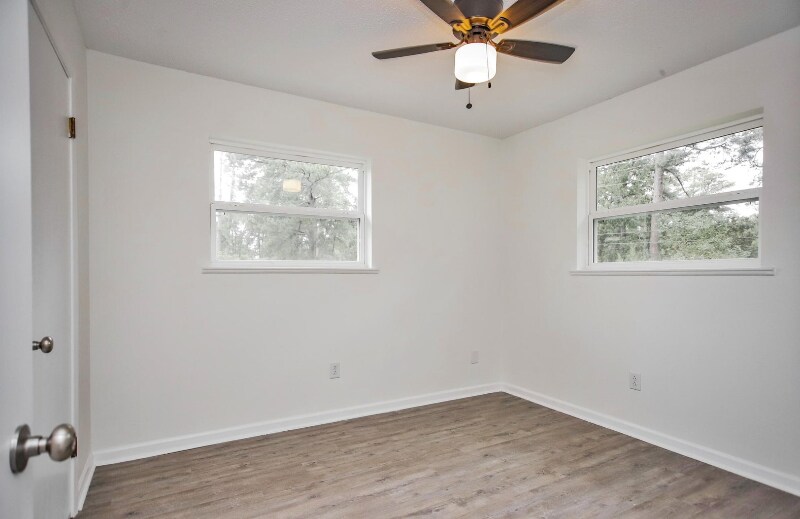 Building Photo - 317 Ivy St