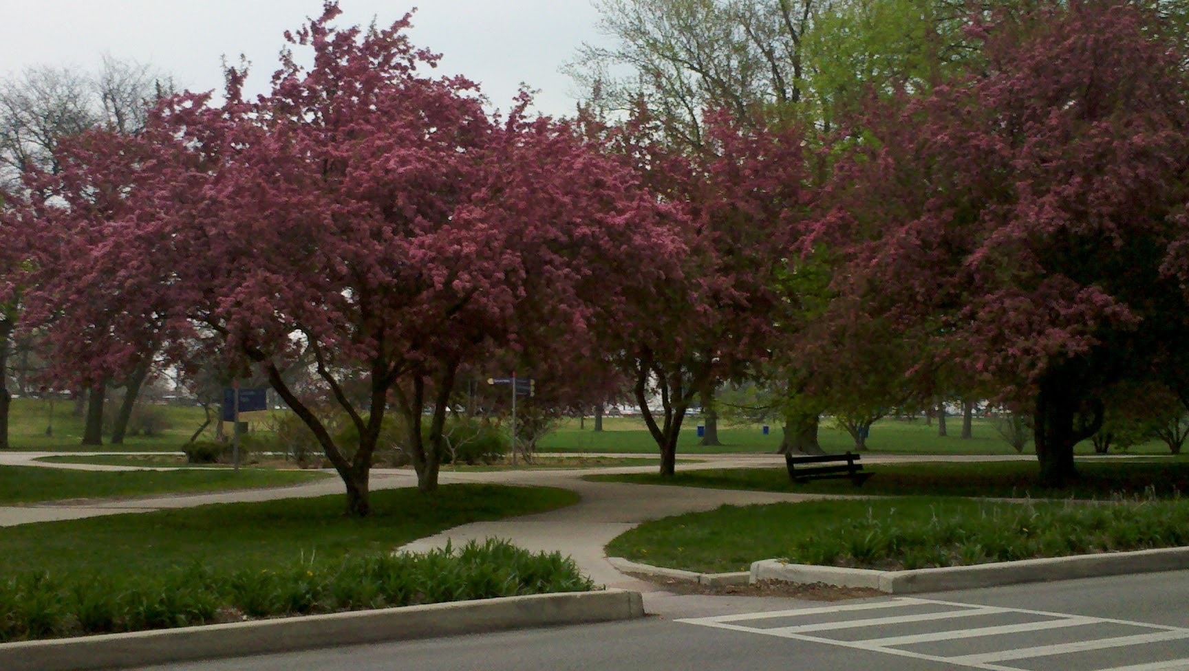 Lincoln Park walk out - 3100 N Lake Shore Dr
