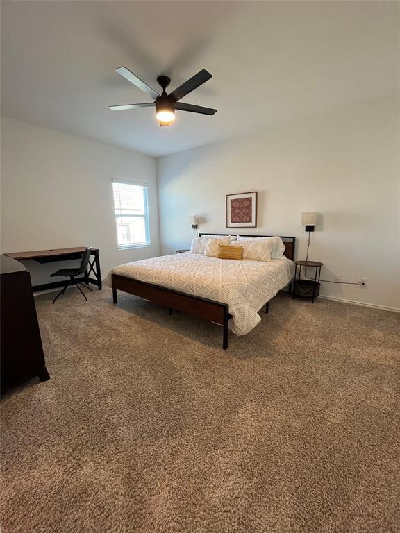 Building Photo - 1200 Rio Frio Ln