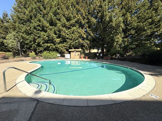 Building Photo - Spacious Updated 2 Bed / 2 Bath Condo with A/C, Huge Balcony & Community Pool