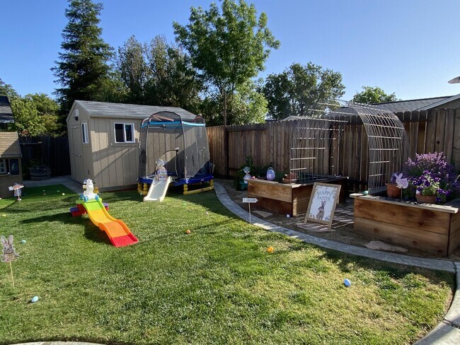 Building Photo - 1713 El Paseo Dr