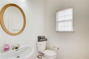 Building Photo - 1236 Wetlands Ct