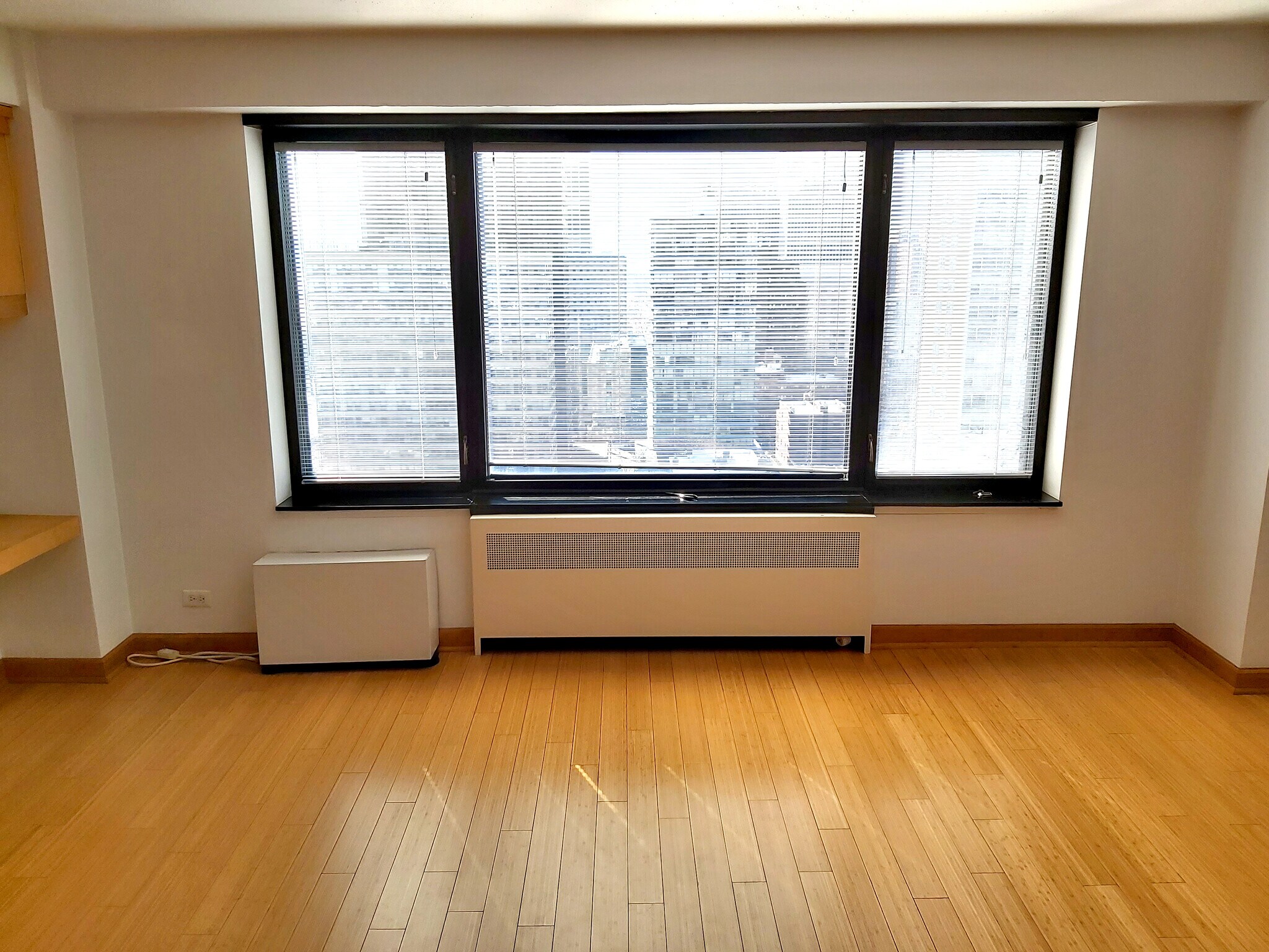 Living room - 3100 N Lake Shore Dr