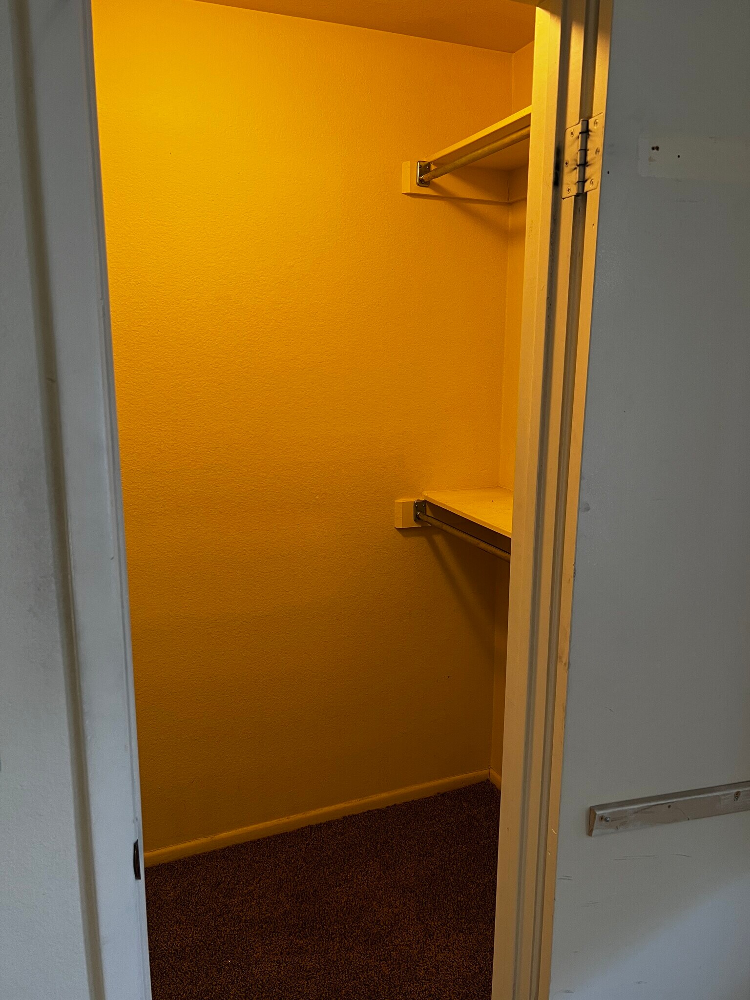 Walk in closet in guest bedroom - 1032 Leisure World