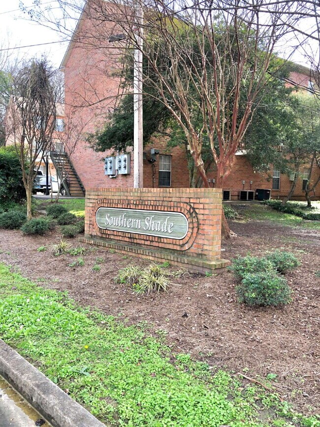 Building Photo - Cotton District 1BR | Bike to MSU | Spring '26 Lease Available