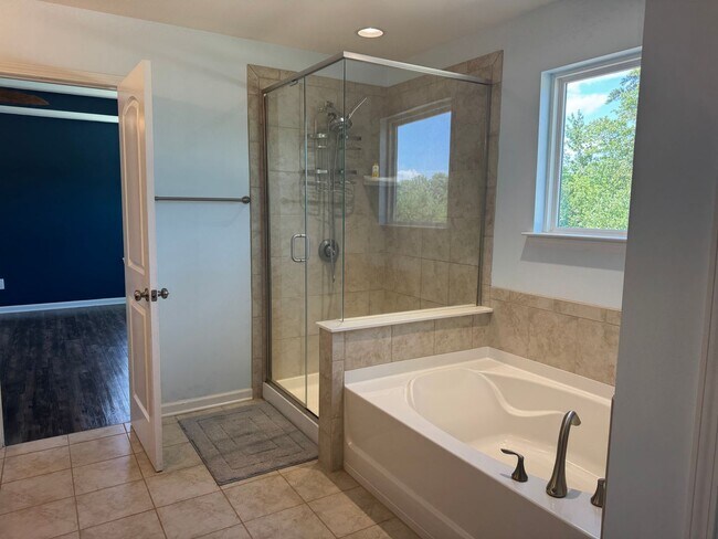 Building Photo - Five Bedroom Home in The Villages of Denver