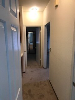 Building Photo - 413 Cork Harbour Cir
