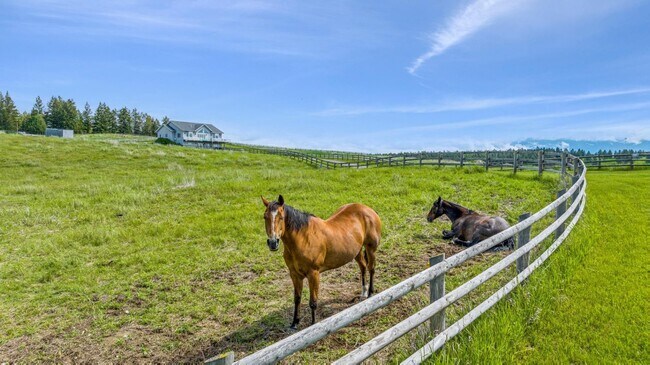 Building Photo - 5-bedroom, 3-bathroom furnished home in Ka...