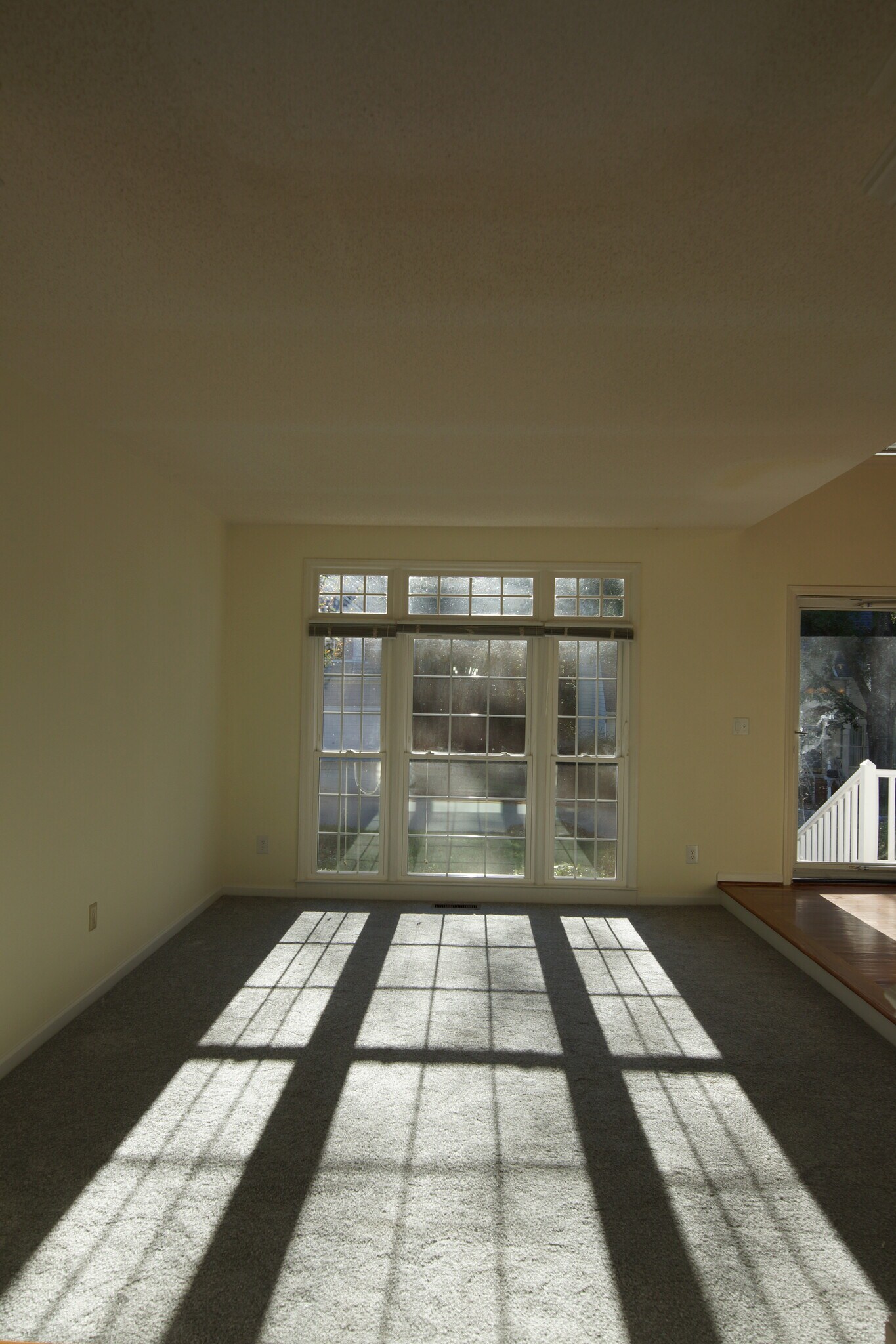 Building Photo - 204 Swiss Lake Dr