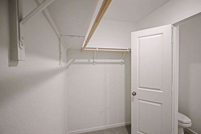 Building Photo - 2411 Shady Grv