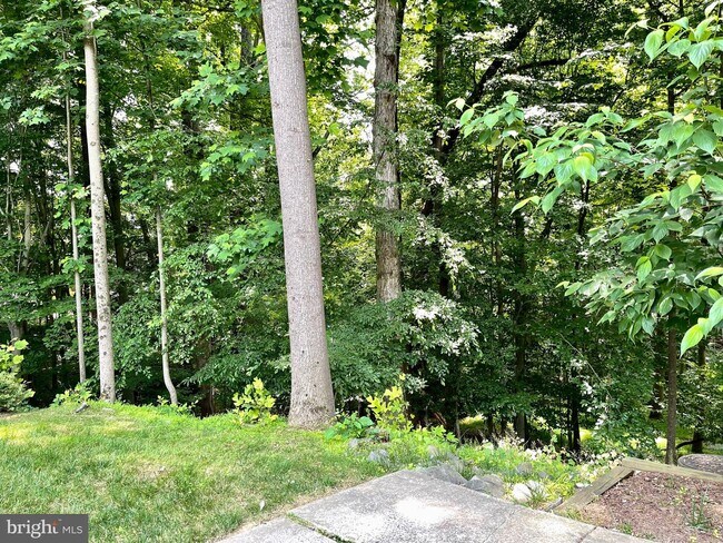 Building Photo - 10824 Whiterim Dr