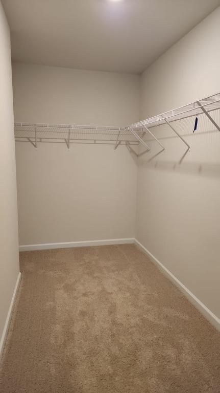 Building Photo - 1667 Hallview Ct