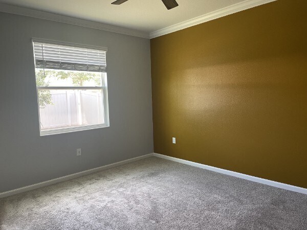 Building Photo - 1125 Saguaro St