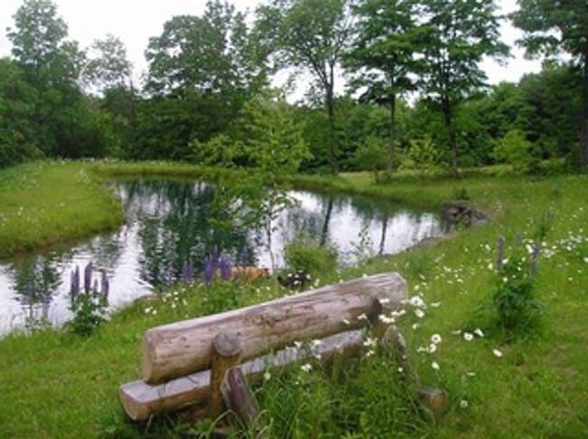 Building Photo - One Bedroom Cottage on 17 acres