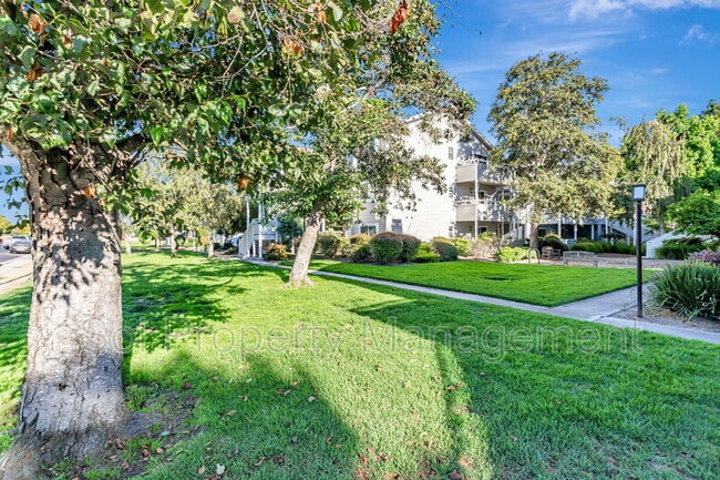 Building Photo - 41 Grandview St