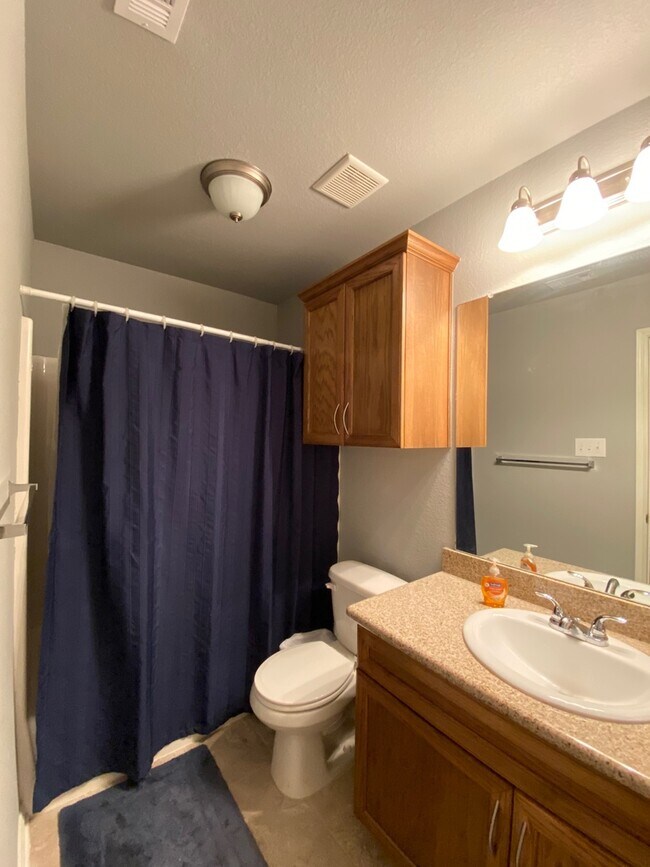 Building Photo - Single Family Home in Falcon Pointe | Chin...